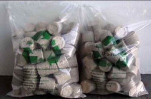 briquettes southampton