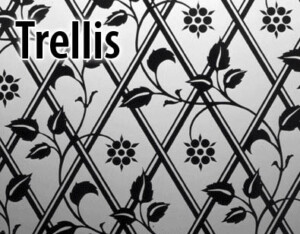 Glazed Pine Doors Southampton by Period Projects Door Company Southampton, Hampshire